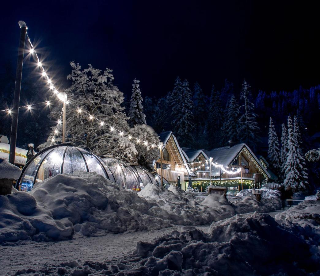 Jasna Chalet Resort كْرانْيِسكا غورا المظهر الخارجي الصورة