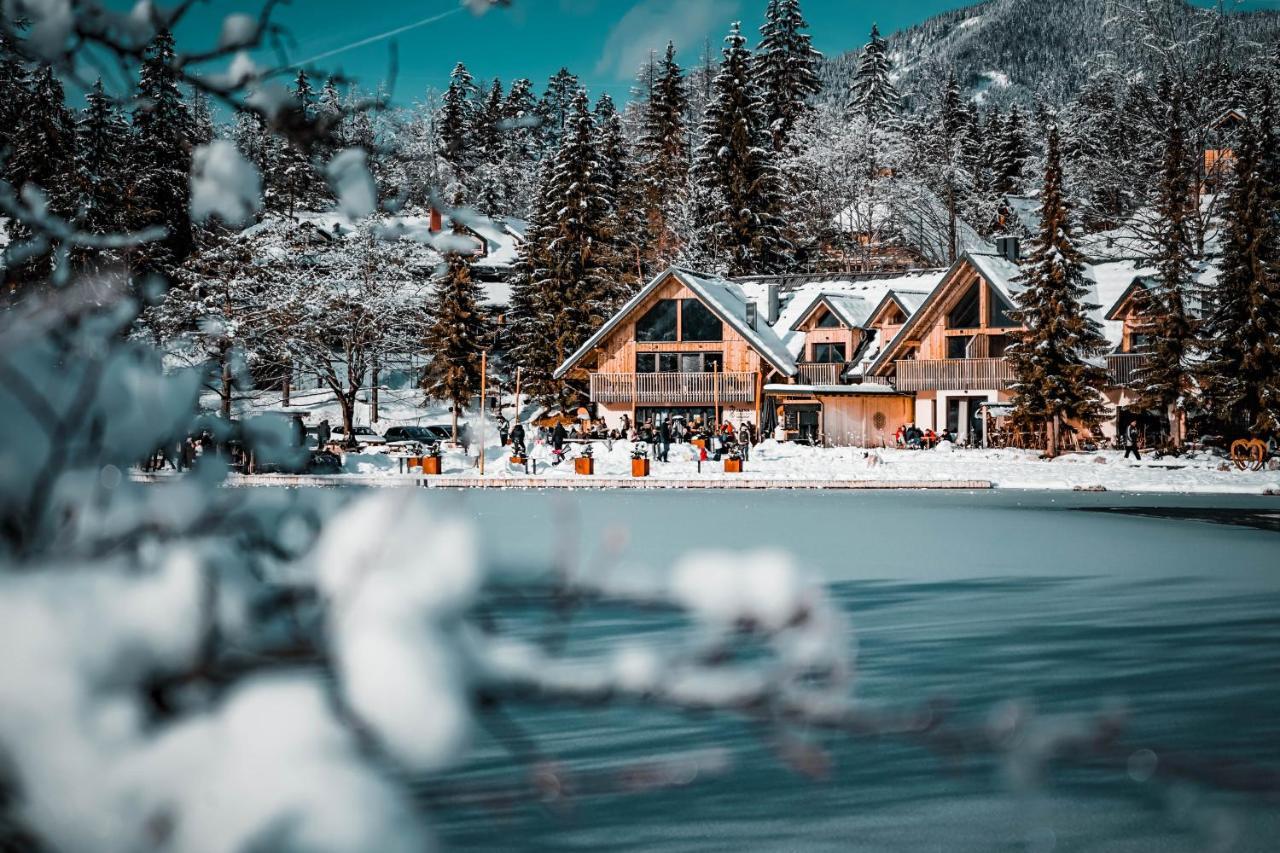 Jasna Chalet Resort كْرانْيِسكا غورا المظهر الخارجي الصورة