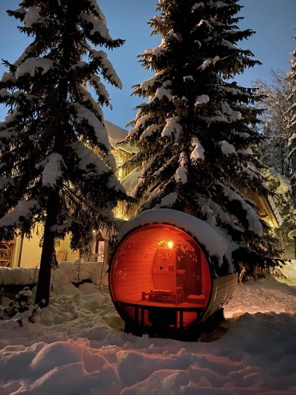 Jasna Chalet Resort كْرانْيِسكا غورا المظهر الخارجي الصورة