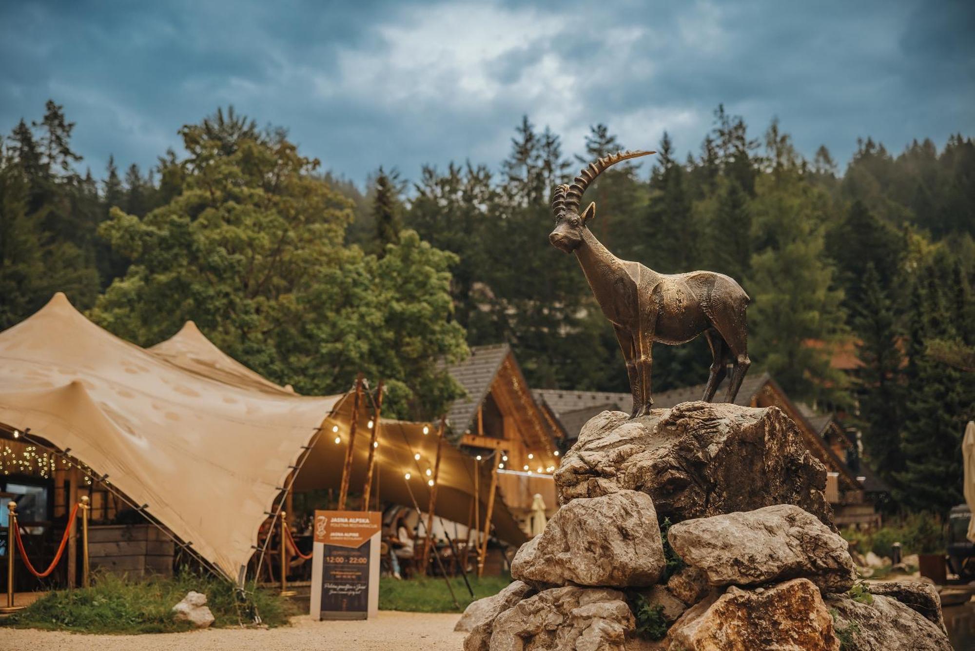 Jasna Chalet Resort كْرانْيِسكا غورا المظهر الخارجي الصورة