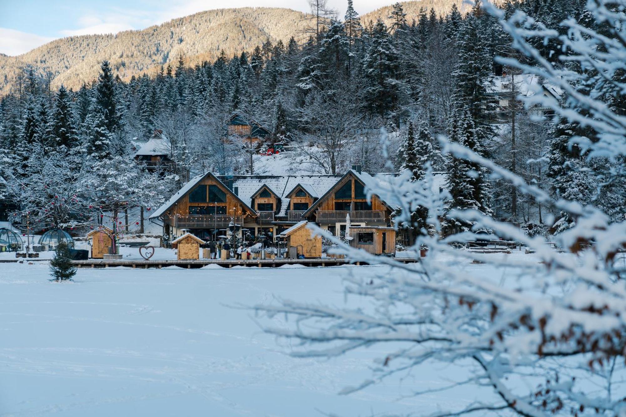 Jasna Chalet Resort كْرانْيِسكا غورا المظهر الخارجي الصورة